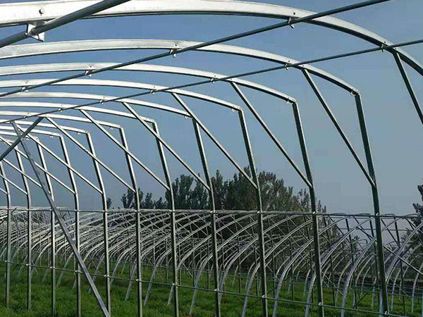 幾字鋼大棚-鋼架大棚