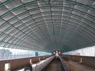 養(yǎng)殖棚-溫室大棚