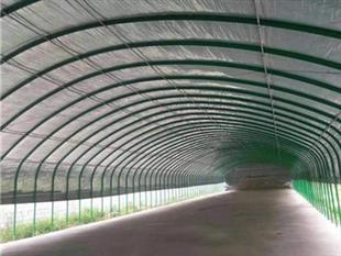 養(yǎng)殖大棚-大棚骨架