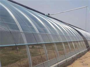 食用菌大棚建設(shè)