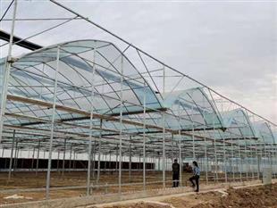 連棟薄膜大棚-連棟溫室大棚-連棟大棚